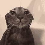 Ryan Stoudt - @googasreal22 - Instagram