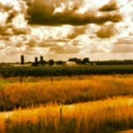 Ryan Streicher - @streicher1 - Instagram