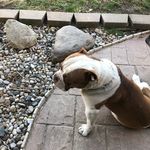 Ryan Strickler - @strickler582 - Instagram