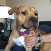 Ryan Strohbeck - @ryanstrohbeck - TikTok