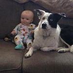 Ryan Strom - @strom_ryan - Instagram