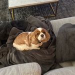 Ryan Stroud - @stroud55555 - Instagram