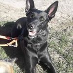 Ryan Strunk - @ryan.strunk.505 - Instagram