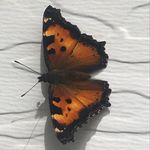 Ryan stutz - @ryanz_photos - Instagram