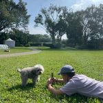 Ryan Sun - @ryansun_97 - Instagram