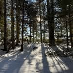 Ryan Sweigart - @thebluefinmoose - Instagram