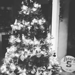 Ryan Sweigart - @swags_2015 - Instagram