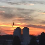 Ryan Swisher - @ryan_swisher_2003 - Instagram