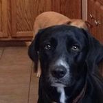 Ryan Talbott - @talbottsci - Instagram