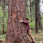 Ryan Talbott - @ryan.talbott - Instagram