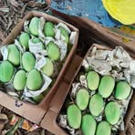 Ryan Tamondong - Facebook