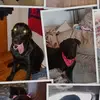Tashia Ryan - @tash.ryan - TikTok