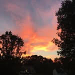 Ryan Tatro - @nightmarecookies - Instagram
