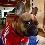 Ryan Tatum - @groovinry - Instagram