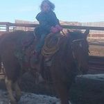 Ryan Teppert - @ryanteppert - Instagram