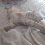 test testerov - @ryan.testerov - Instagram