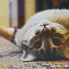 user2837538422908 - @theodore.ryan.2.1992 - TikTok