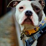 Ryan William Thiel - @ryan_w_thiel - Instagram