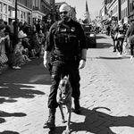 Ryan Thiel | Dog Trainer - @mirootsk9 - Instagram
