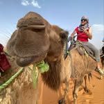 Ryan Thomson - @ryanrthomson - Instagram
