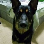 Ryan Thurlow - @ryan.thurlow.587 - Instagram