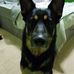 Ryan Thurlow - Facebook