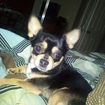 Ryan Tiller - @ryan.tiller.50 - Instagram