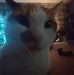 Ryan Timmins - Facebook