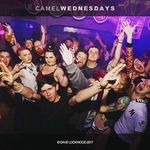 Ryan Timmins - @ryan.timmins97 - Instagram