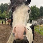 @tinker_ryan_jack - Instagram