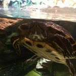 Ryan Tinkler - @ryan_t_9845 - Instagram
