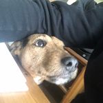 Ryan Tinkler - @92_tink - Instagram