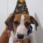 Ryan Gusmão Tito - @ryan.tito_ - Instagram