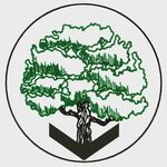 Ryan Tobias - @treedowntown - Instagram
