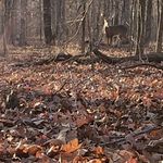 Ryan Tolbert - @mrtolbert2 - Instagram