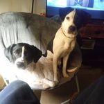 Ryan Tolbert - @ryknow1980 - Instagram