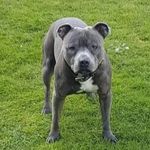 ryan tonks - @ryandrew9103 - Instagram