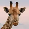 Ryan Touchton - @user4260896382913 - TikTok