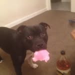 Ryan Towns - @towns760 - Instagram