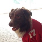 Ryan Toy - @ryan_.toy - Instagram