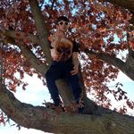 Ryan Trammell - @yung_ranger2077 - Instagram
