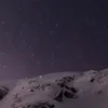 Ryan_Tree - @ryan_tree - TikTok