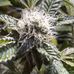 Ryan Trees - Facebook