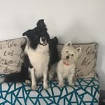 Ryan Trimby - @ryantrimby - Instagram