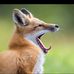 Ryan Trinkle - Facebook