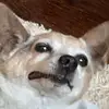 Ryan Trinkle - @rinkler5 - TikTok