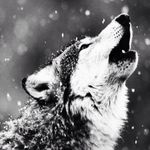 Ryan Troyer - @ryan_troyer_14 - Instagram
