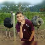 Ryan Oliveira - @ryan_trump - Instagram