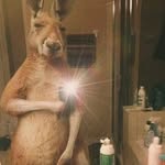 Ryan Tsosie - @yukixnight - Instagram