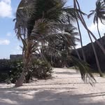 Ryan Tull - @tull806 - Instagram
